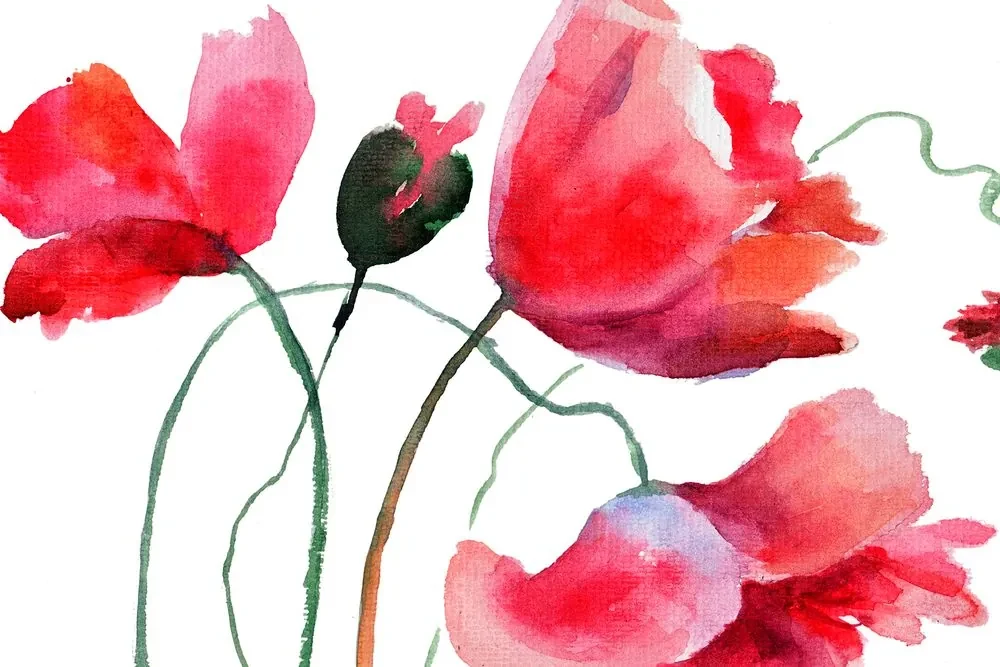 Tablou flori de mac inedite