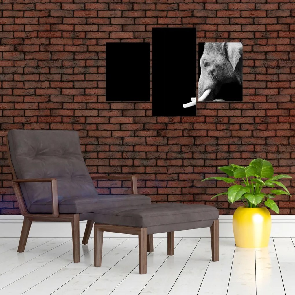 Tablou - Elefant (90x60 cm)