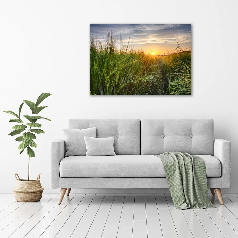 Print pe canvas Câmp de grâu