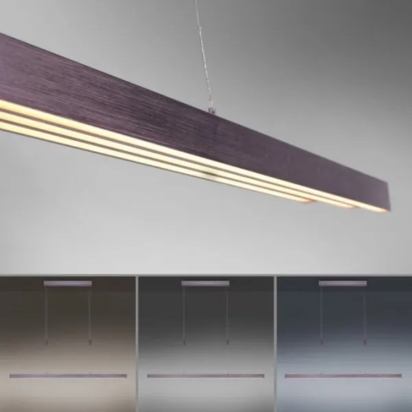 Lustră LED dimabilă pe cablu Paul Neuhaus 2568-24 ADRIANA LED/14W/230V