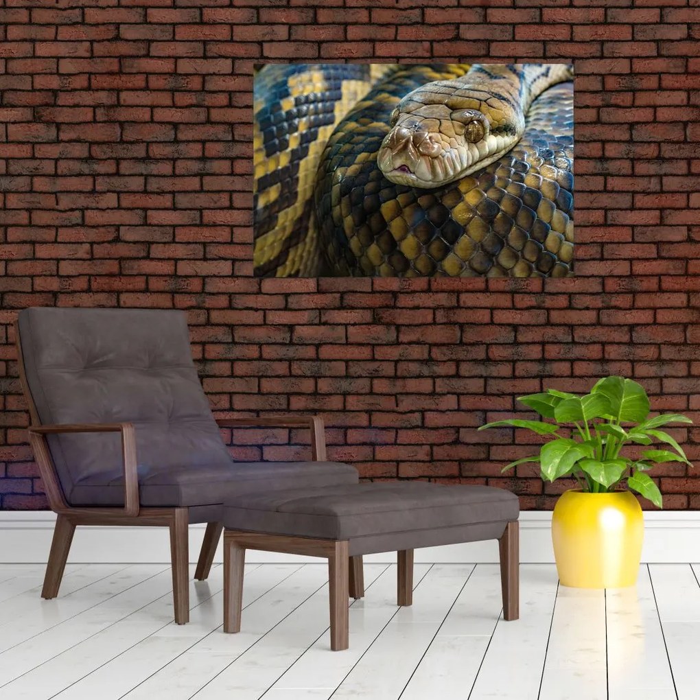 Tablou - Piton (90x60 cm)