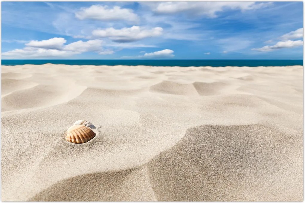 Tablou - Scoici pe plajă (90x60 cm)