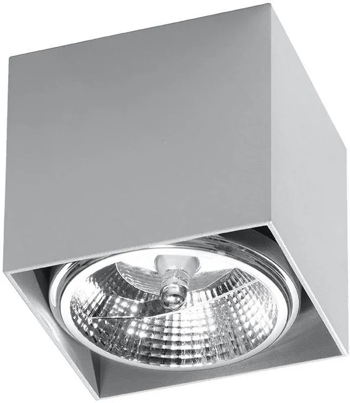 Sollux Lighting Blake lampă de tavan 1x40 W gri SL.0699