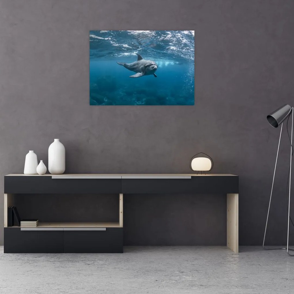 Tablou - Delfin sub apă (70x50 cm)