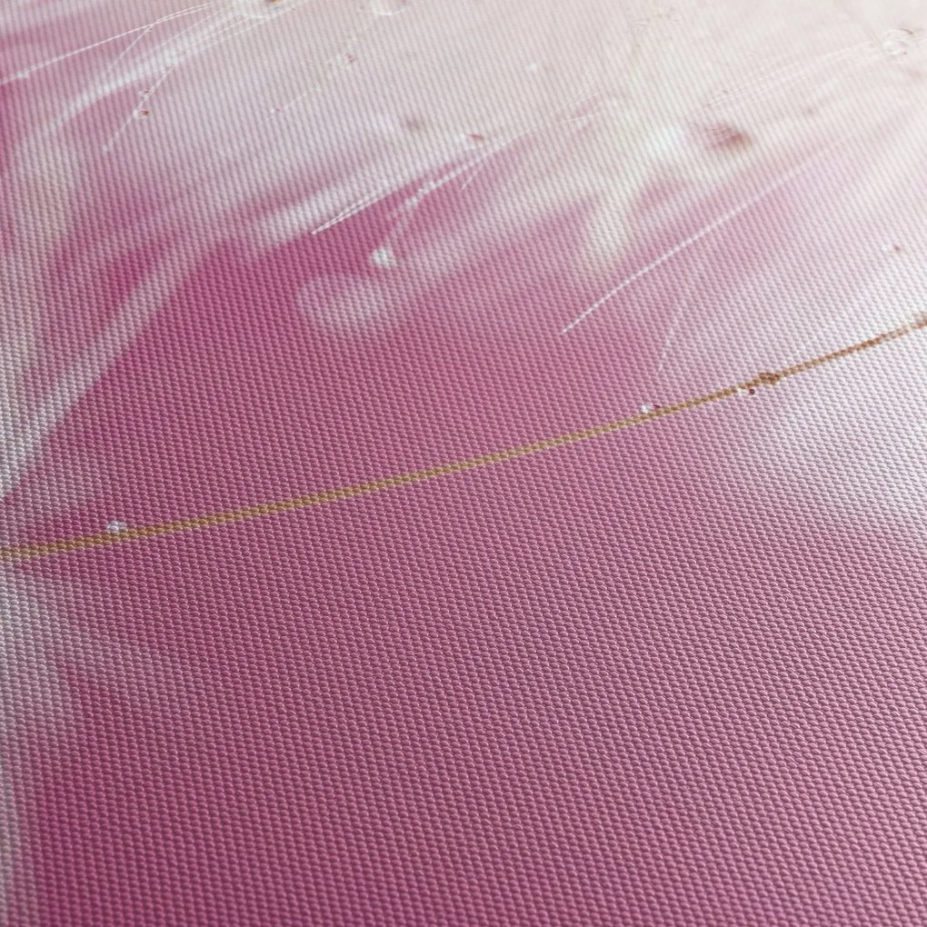 Tablou - Floare macro (70x50 cm)