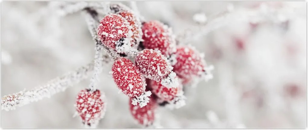 Tablou - Fructe congelate (120x50 cm)
