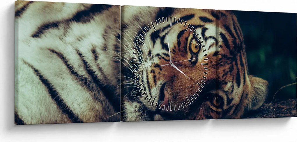 Tablou - Tigrul Siberian (cu ceas) (90x30 cm)