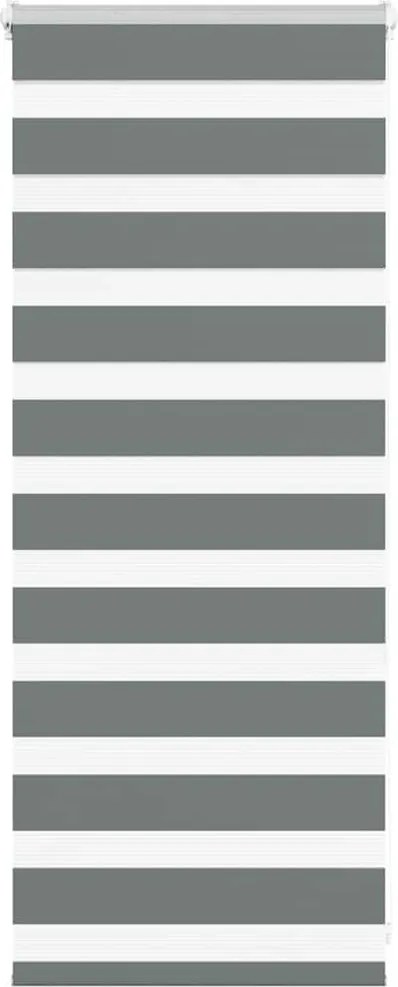 vidaXL Jaluzea tip zebra gri închis lățime țesătură 60,9 cm poliester