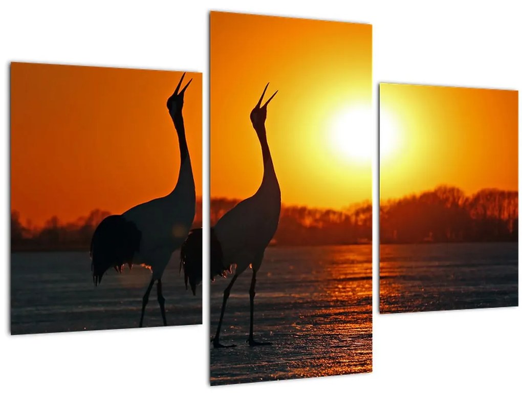 Tablou cu păsări în apus de soare (90x60 cm)