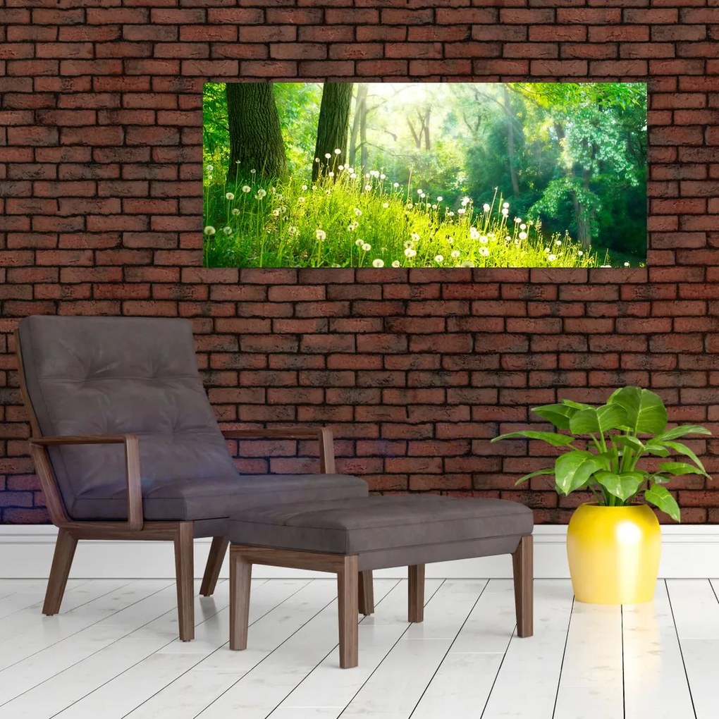 Tablou - Pajiște magică plină de păpădii (120x50 cm)