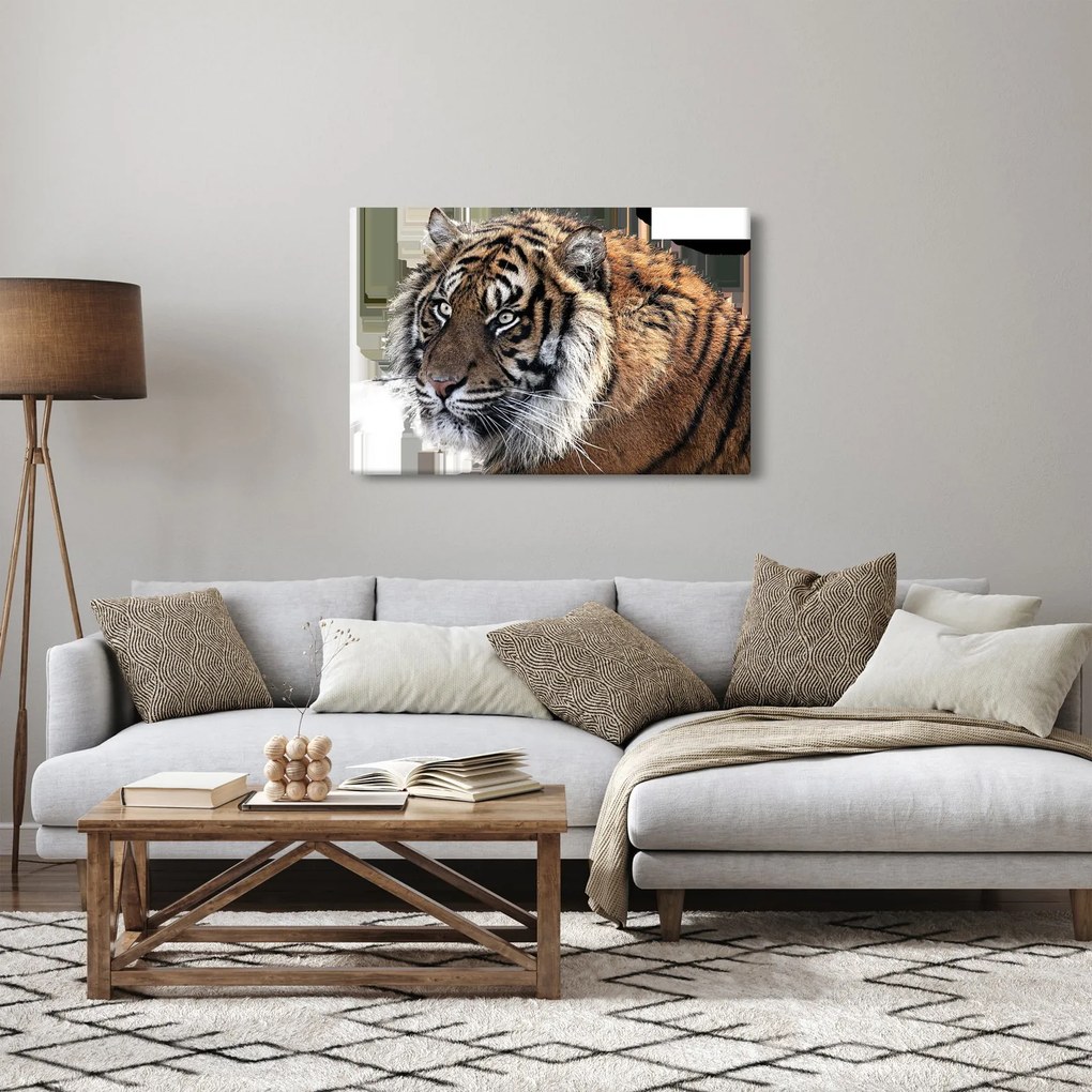 Tablou cu tigrul (90x60 cm)