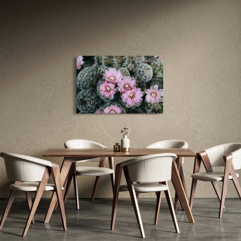 Tablou floare de cactus (90x60 cm)
