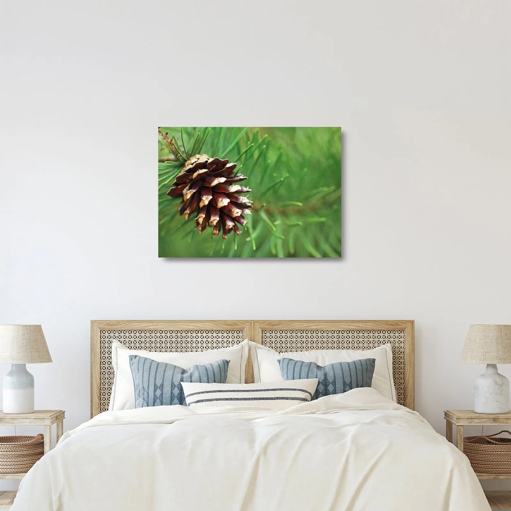Tablou pe sticlă cu con (70x50 cm)