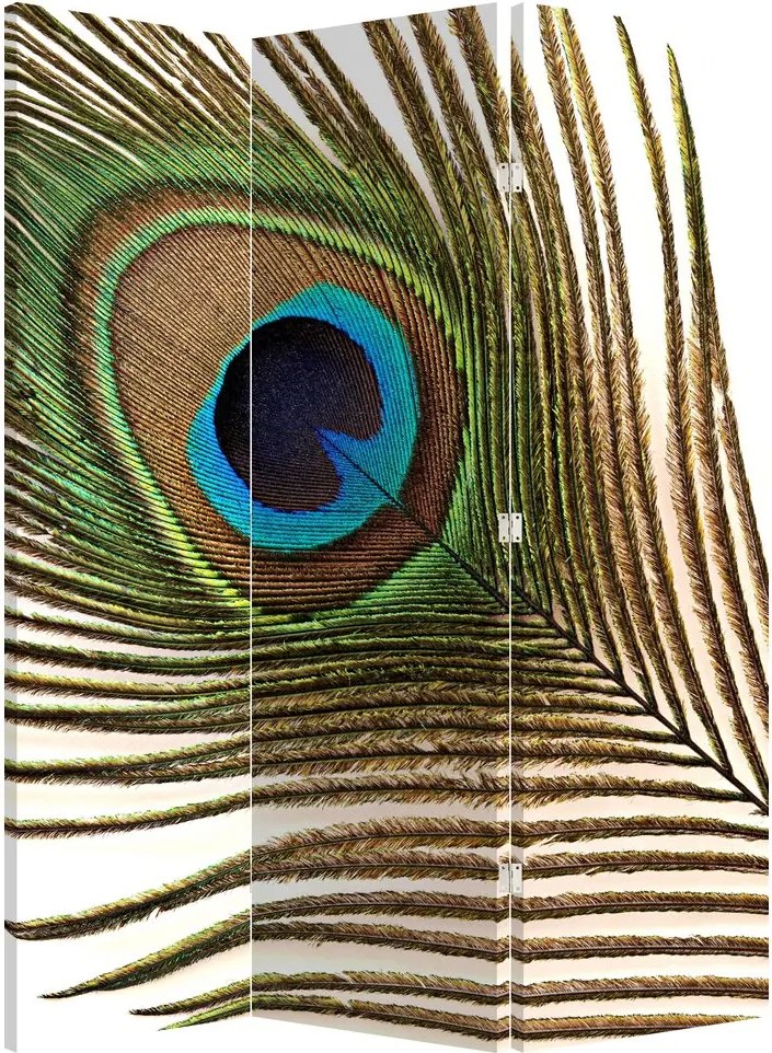 Paravan - Pene de păun (126x170 cm)