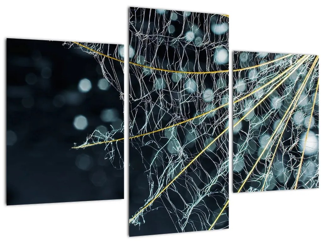 Tablou - Floare cu pânză de pâianjen (90x60 cm)