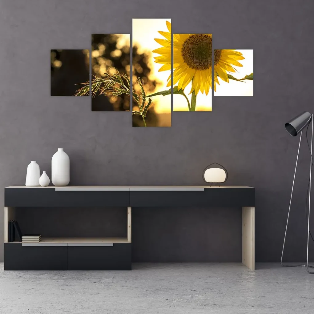 Tablou cu floarea soarelui (125x70 cm), în 40 de alte dimensiuni noi