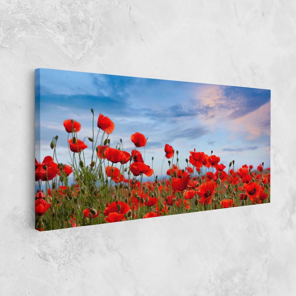 Tablou Canvas, 40x80cm, Dormitor si Living, Flori, Maci, Poppy Field