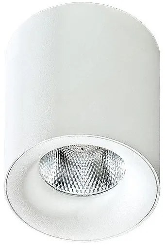 Spot LED aplicat tavan/plafon MANE alb 4000K