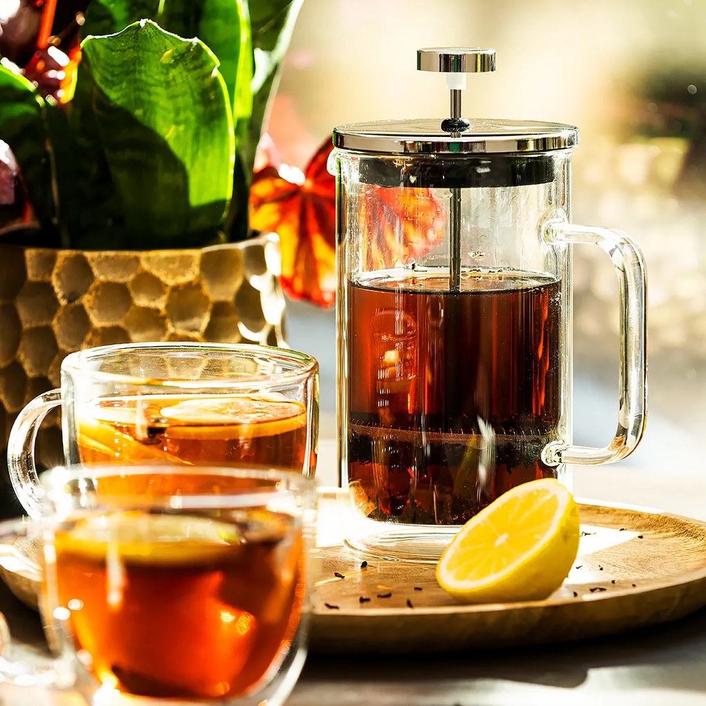 Presă franceză 4Home french press Hot&Cool 600 ml