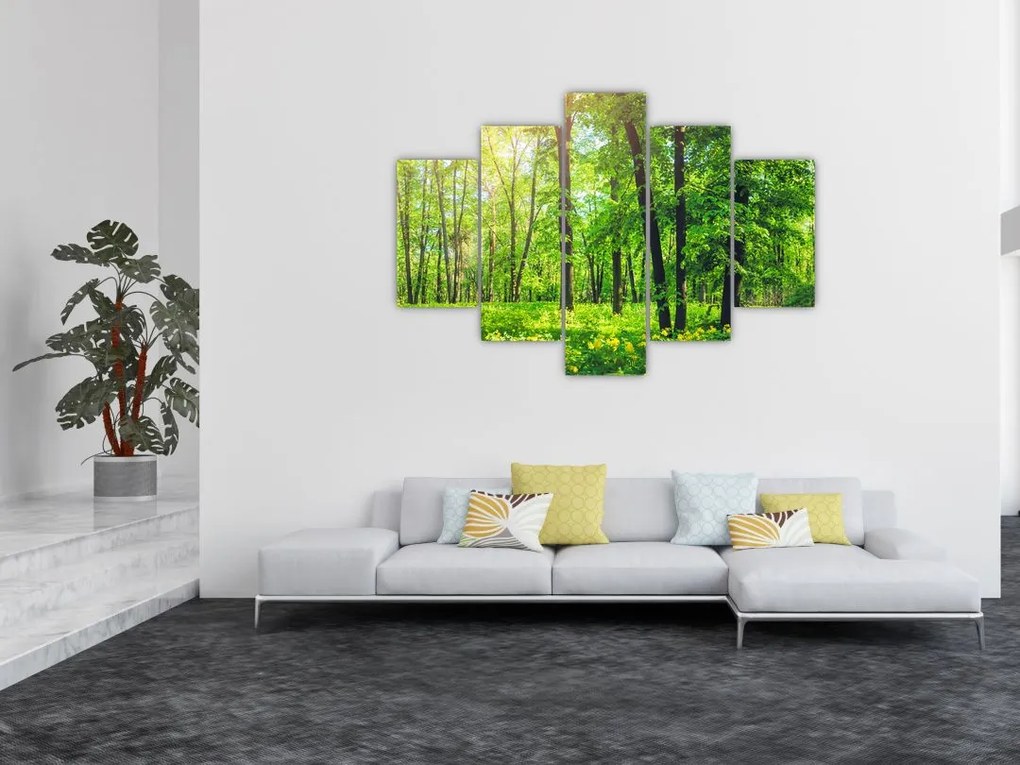 Tablou - Pădurea cu frunze de primăvară (150x105 cm)