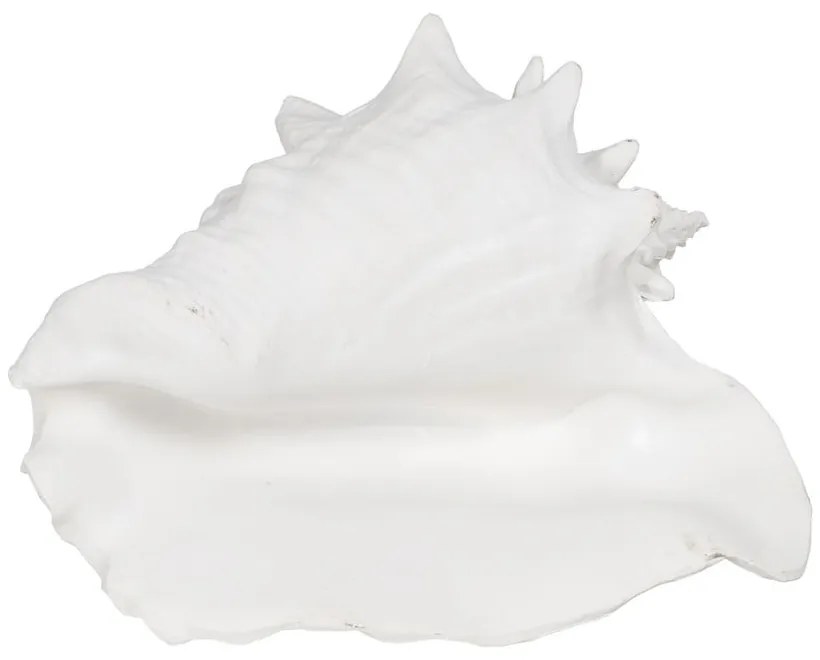 Statuetă din polirășină (înălțime 13 cm) Seashell – Ixia