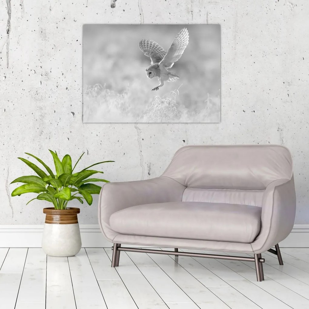 Tablou - Bufniță în câmp (70x50 cm)