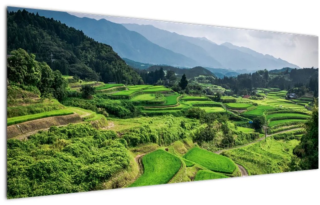 Tablou cu câmp de orez (120x50 cm)
