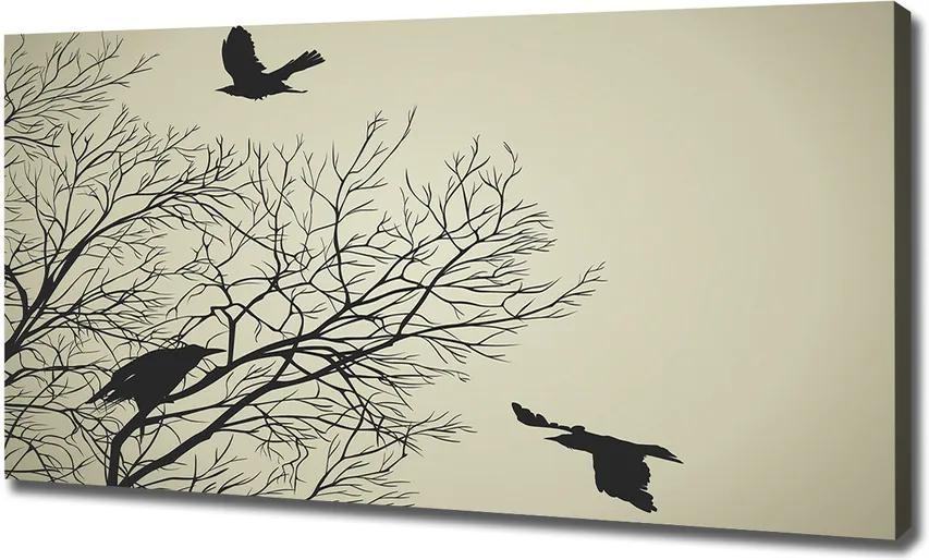 Imprimare tablou canvas Ciorile de pe copac