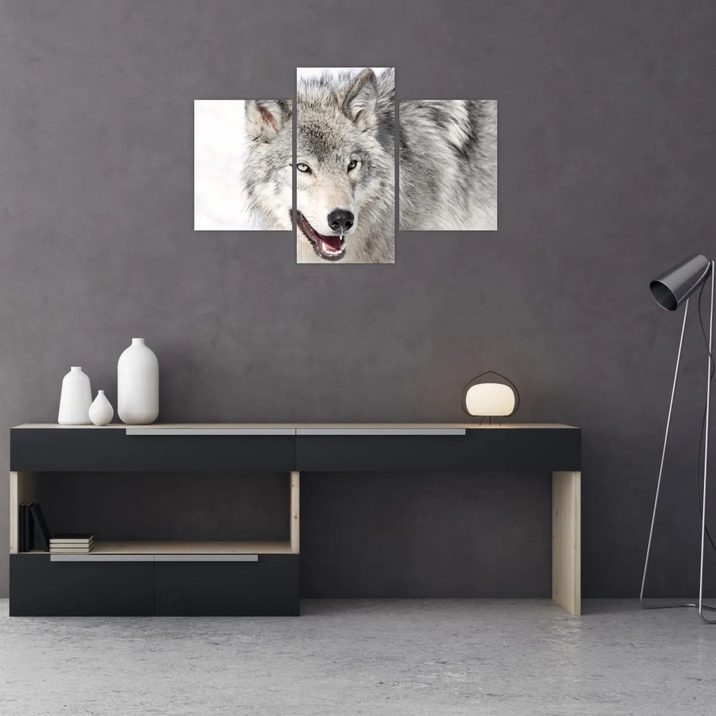 Tablou - Lupul în natură (90x60 cm)
