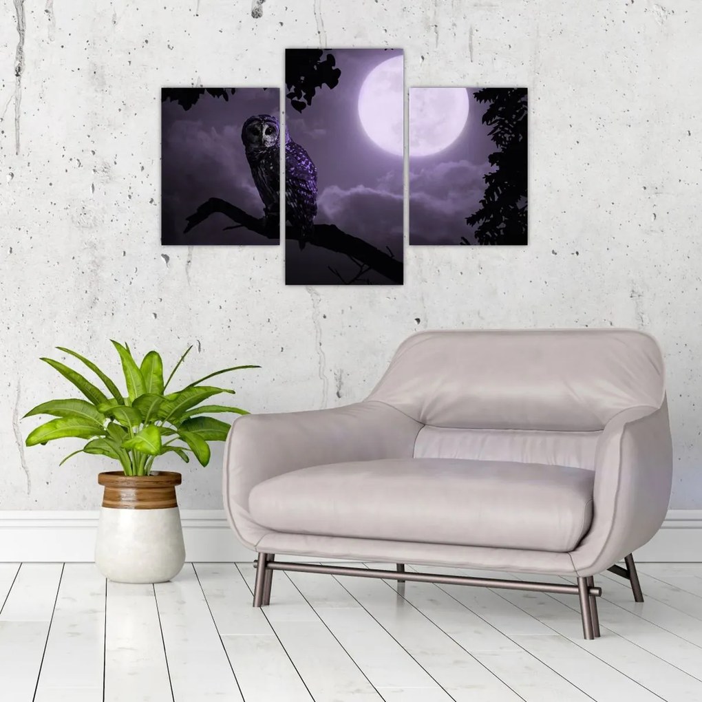 Tablou - Bufniță de noapte, violet (90x60 cm)