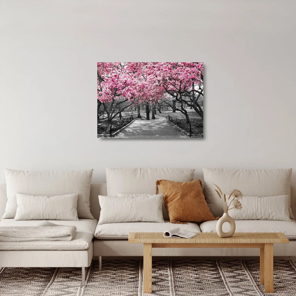 Tablou pe sticlă copacului magnolie (70x50 cm)