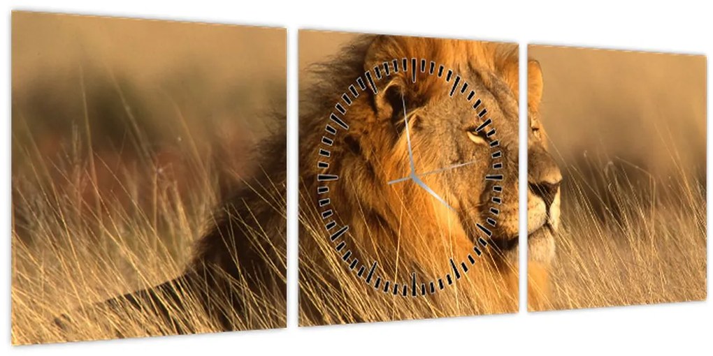 Tablou - Parcul Național Etosha (cu ceas) (90x30 cm)