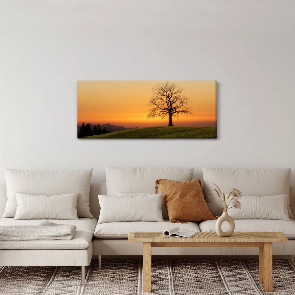 Tablou cu apus de soare pe o luncă (120x50 cm)