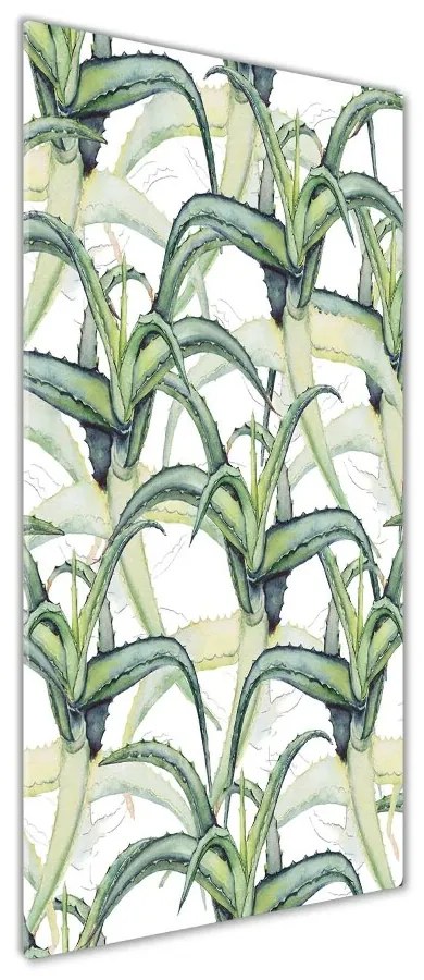 Tablou Printat Pe Sticlă Aloe