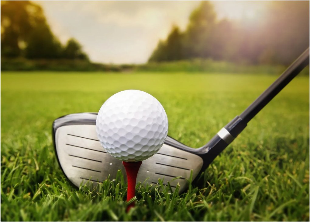 Tablou - Golf (70x50 cm)