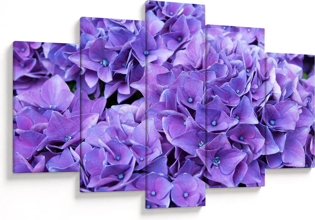 Tablou cu flori violete (150x105 cm)