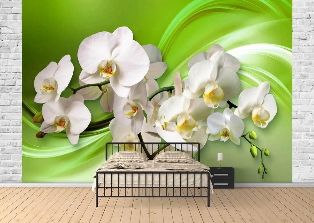 Fototapet 3D, Orhideea albe pe un fundal verede Art.05117