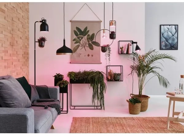 Lustră pe cablu Paulmann 79749 1xGU10/20W FANJA 230V