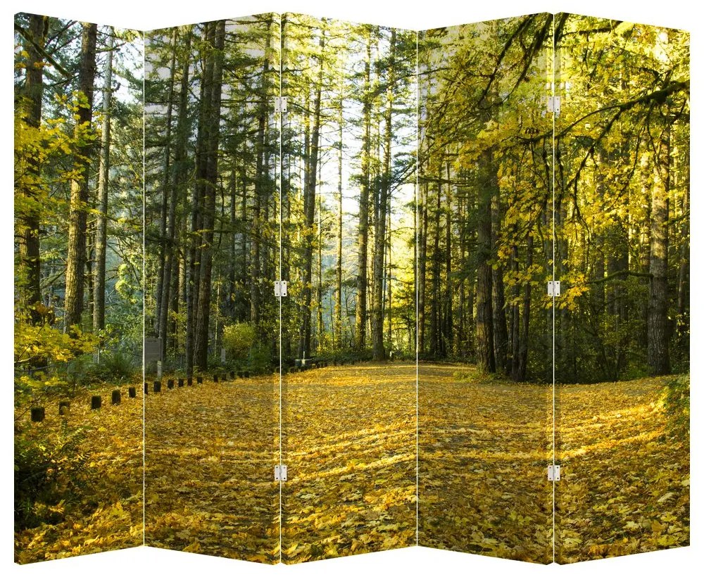 Paravan - Pădurea toamna (210x170 cm)
