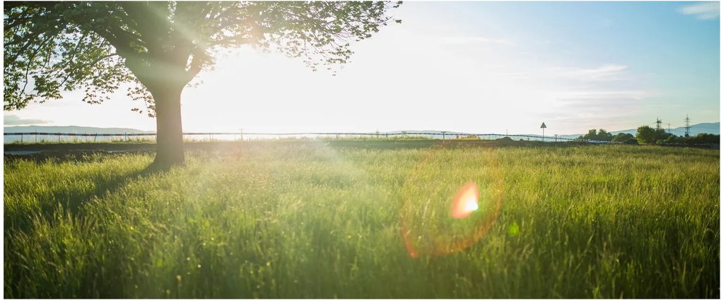 Tablou cu lunca în vară (120x50 cm)