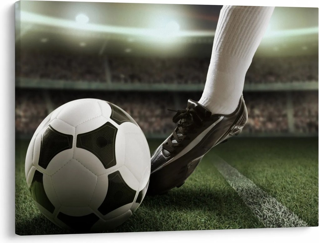 Tablou - Minge de fotbal (70x50 cm)