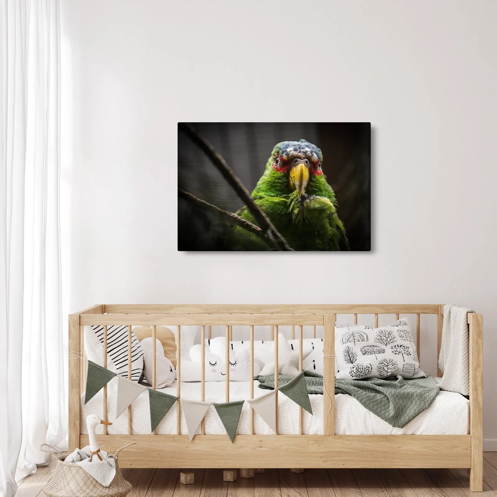 Tablou cu papagal (90x60 cm)