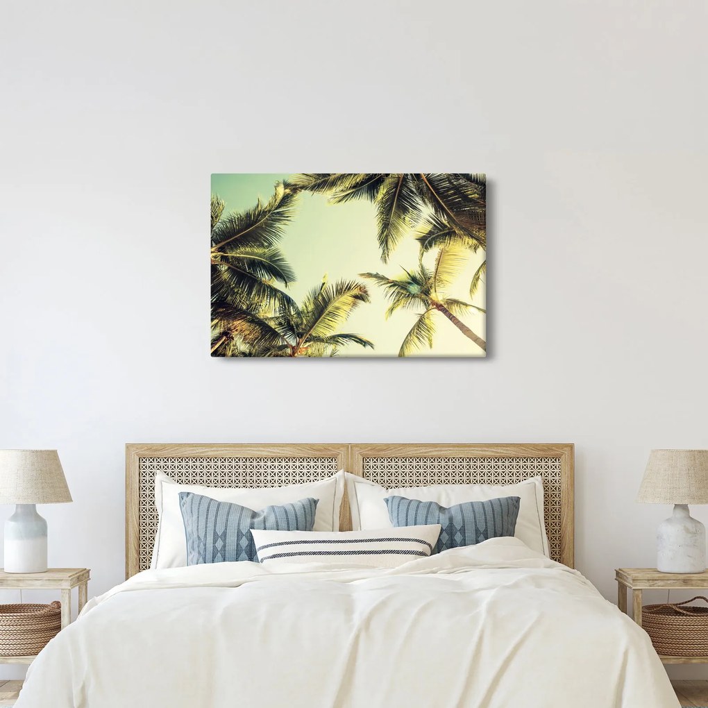 Tablou - Palmieri de cocos (90x60 cm)