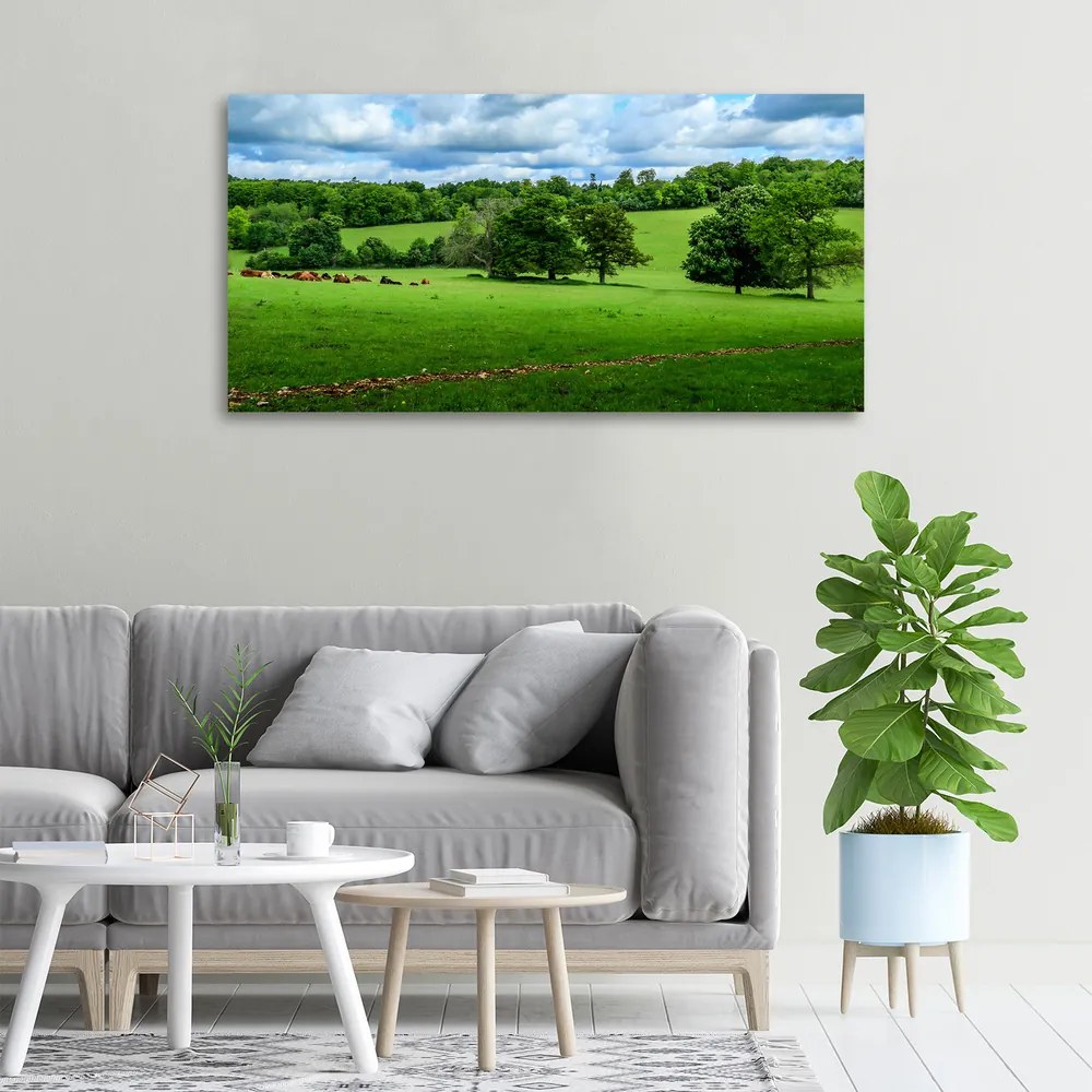 Tablou pe pânză canvas Dealuri verzi