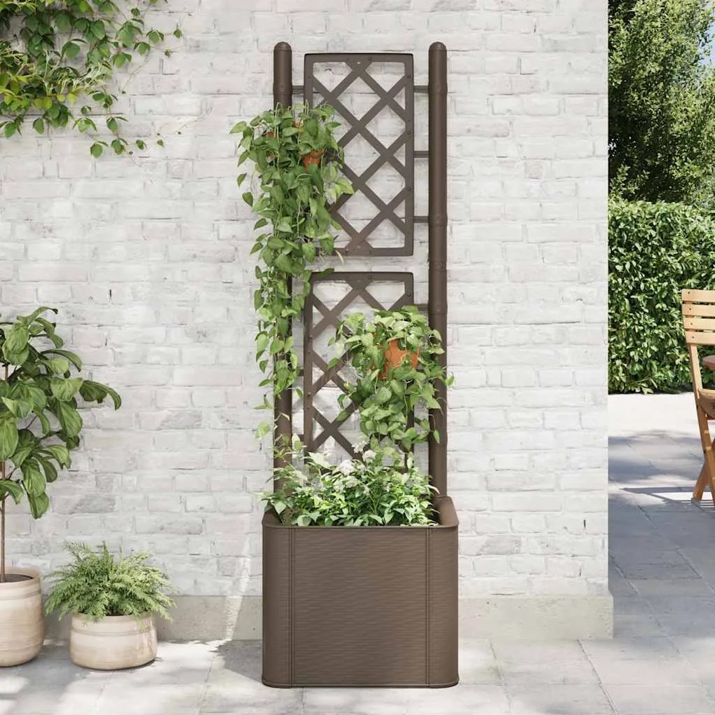 Strat inaltat gradina cu spalier si sistem automat udare, maro 1, Mocca, 43 x 43 x 142 cm, 43 x 43 x 142 cm
