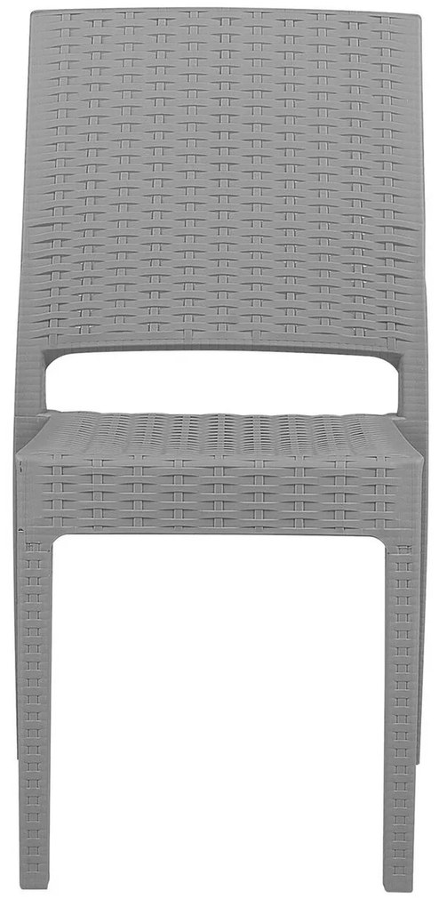 Set scaune 2 buc. Fossil (gri deschis). 1011528