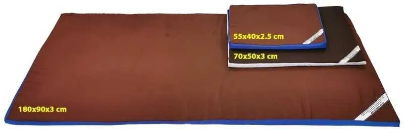 Covoras Intrare Dezinfectant 55x40x3 cm, Material Impermeabil