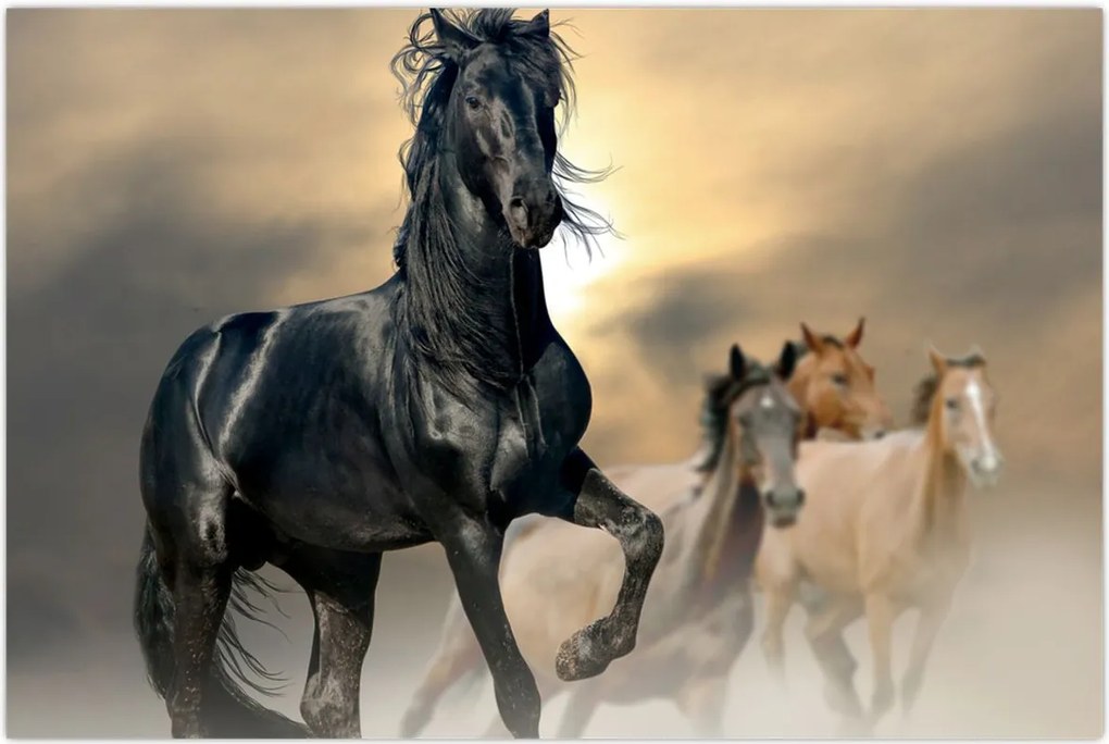 Tablou - Cai (90x60 cm)