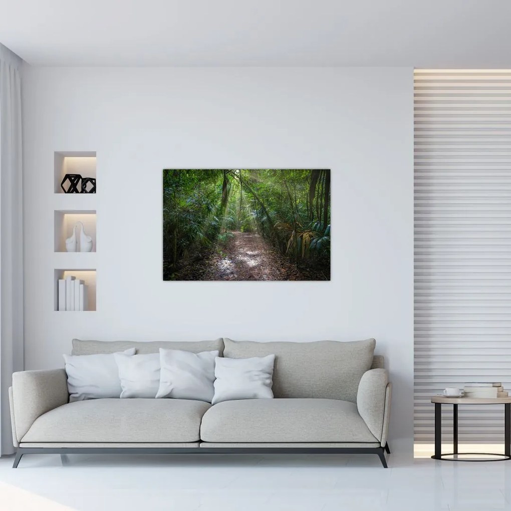 Tablou - Razele solare în junglă (90x60 cm)