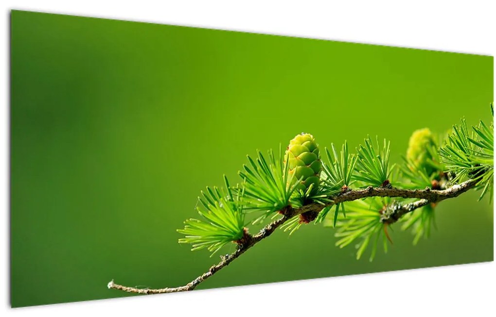 Tablou con verde (120x50 cm)